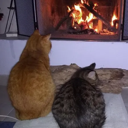 Διαμέρισμα Fouli Aspro Chorio