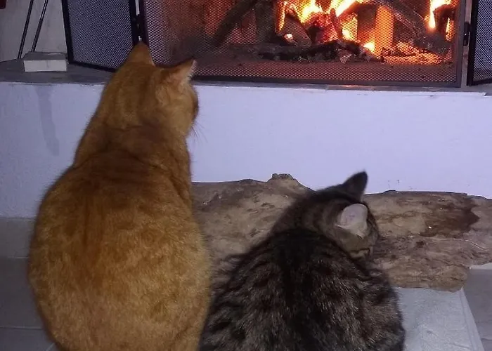 アパート Fouli Aspro Chorio