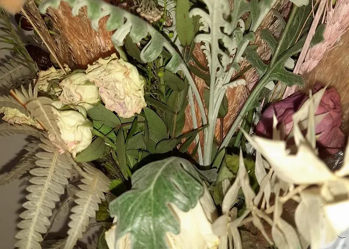 Fouli アパート Aspro Chorio